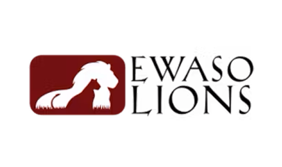 Ewaso Lions
